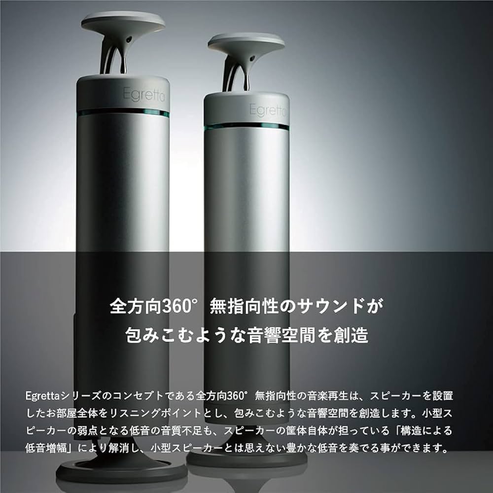 Egretta TS550 美品　国産高音質スピーカー※アップグレードプランあり TS550F || egretta